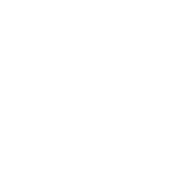 Leslie & Co